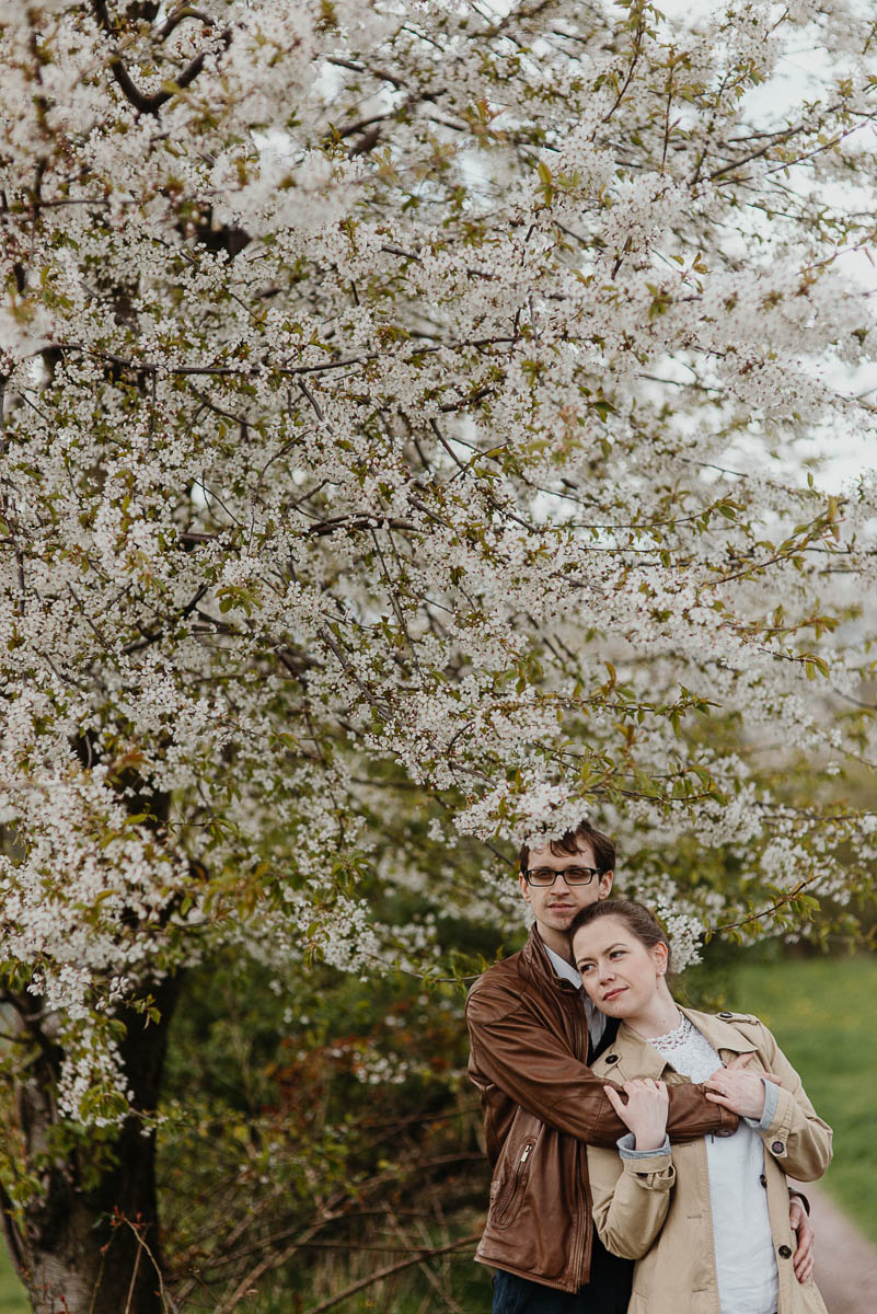 Engagementshooting mit einem Paar mit blühenden Kirschbäumen