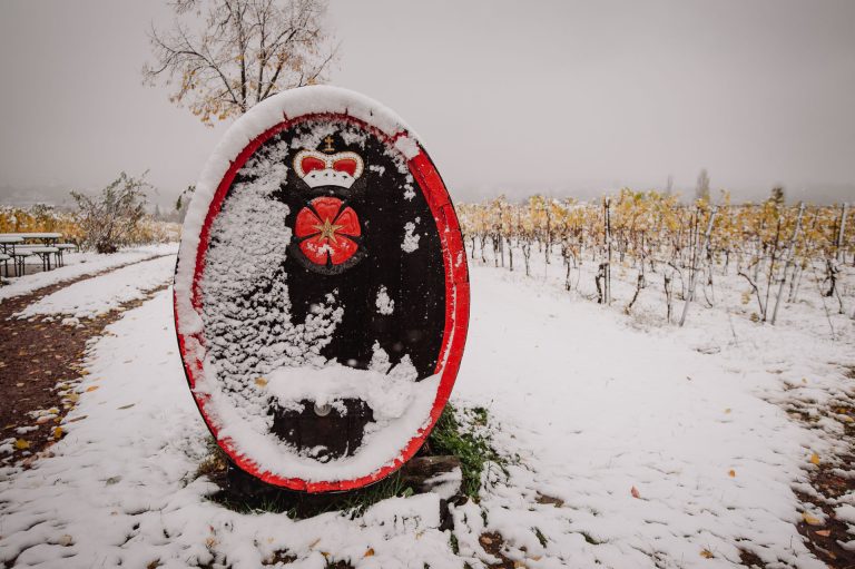 Heiraten im Winter auf Schloss Proschwitz