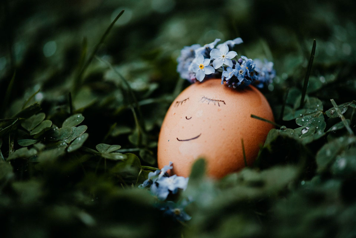 Sinnbild für Beratung und Coaching: braunes Ei mit Vergissmeinnichtkranz und aufgemaltem Lächeln