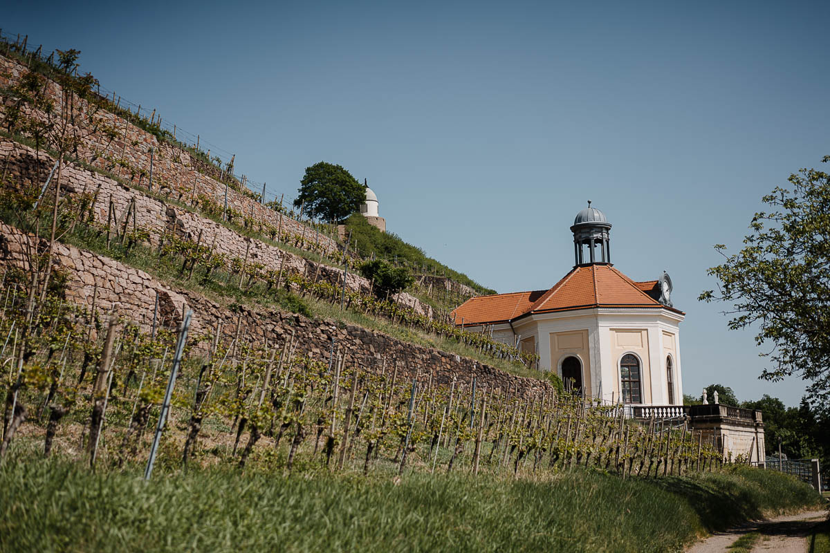 Belvedere auf Schloss Wackerbarth
