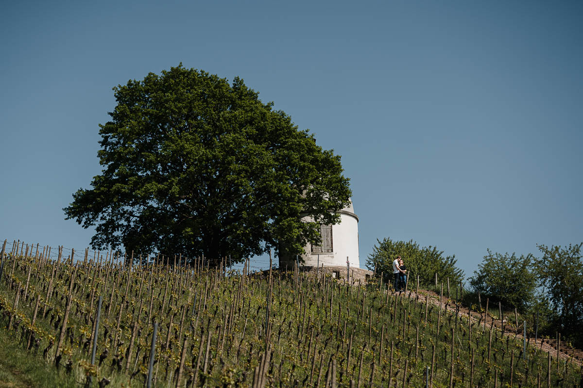 Jakobstein Paarbilder Wackerbarth Weinberge Radebeul