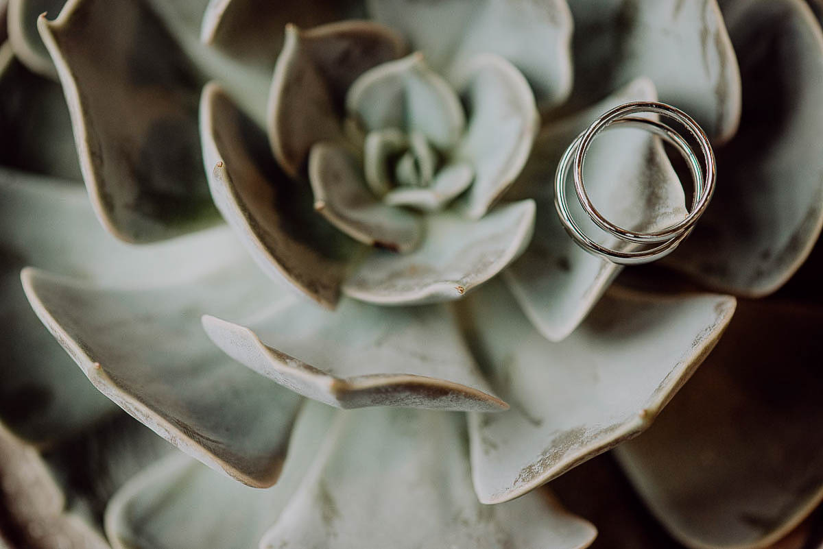 Hochzeitsfotografie mit den Trauringen auf einer Sukkulente - witzig und zeitlos