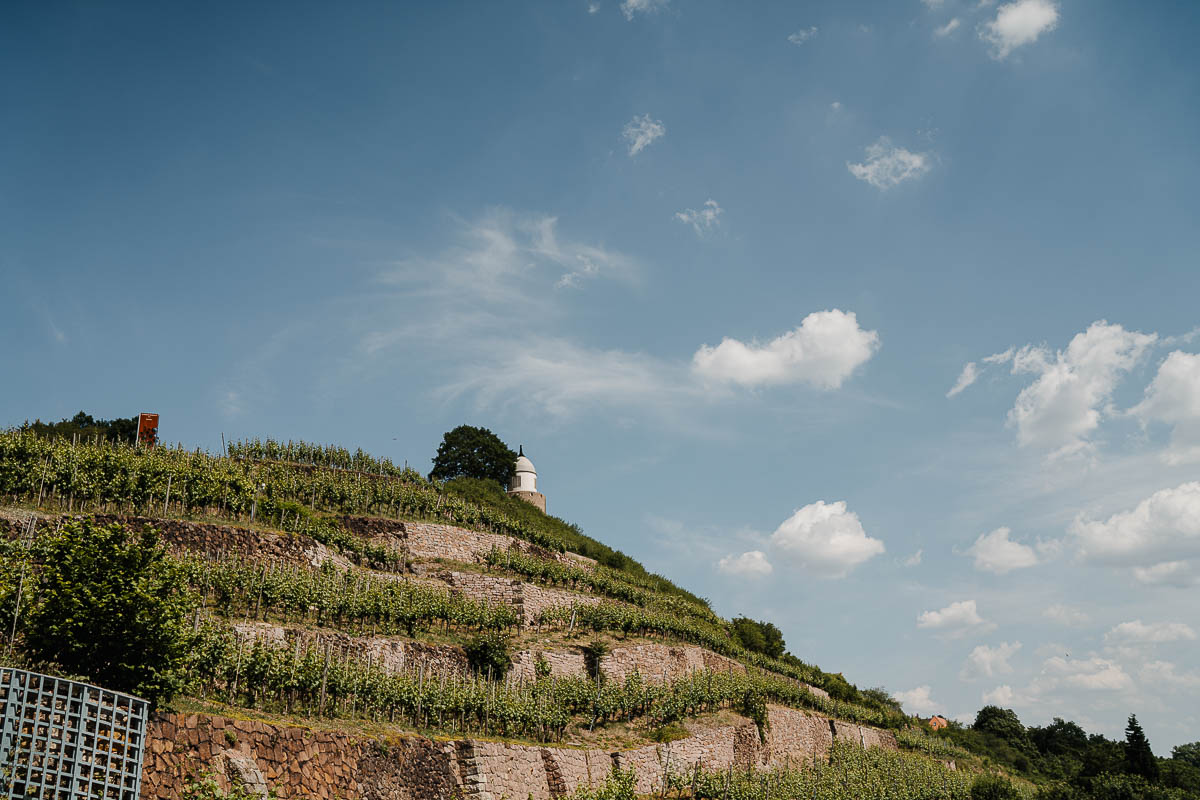 Hochzeit im Mai mit Blick auf den Radebeuler Jacobstein und die Weinberge